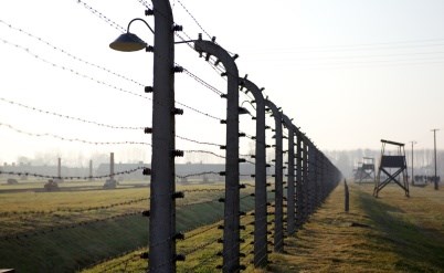 החלטת הממשלה להוסיף מיליארד ₪ לניצולי השואה - דעה