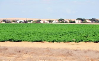 היבטים קניינים והיבטי מיסוי במכירת נחלה במושב היבטים קניינים והיבטי מיסוי במכירת נחלה במושב