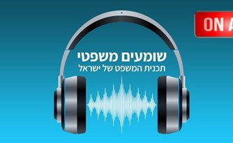 חוקי התעבורה והנהג הישראלי חוקי התעבורה והנהג הישראלי